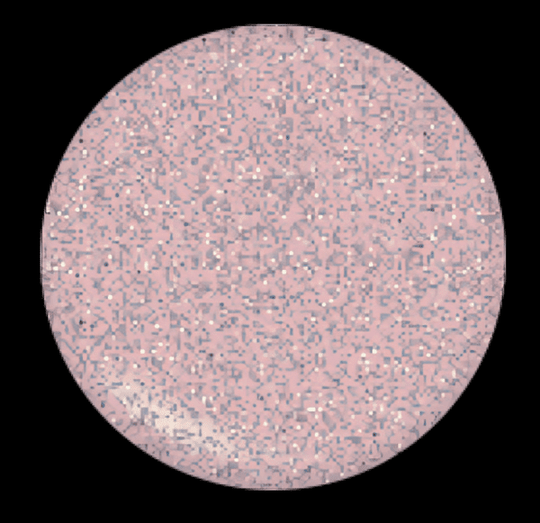 Enchanted - Image 2